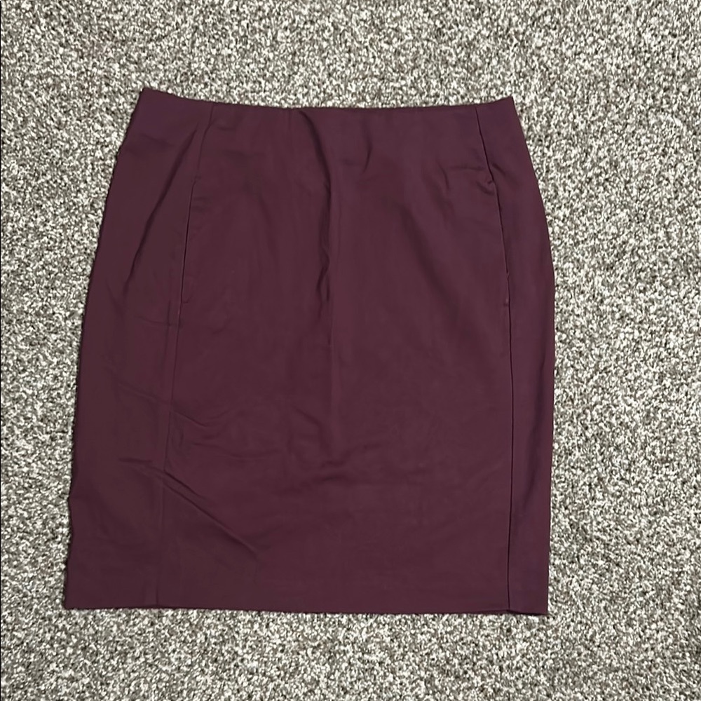 Elegant Purple Women's Skirt